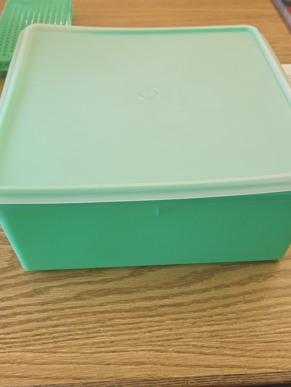 Tupperware Mint Green Square Food Storage Container 13"×13